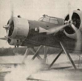 littoria4